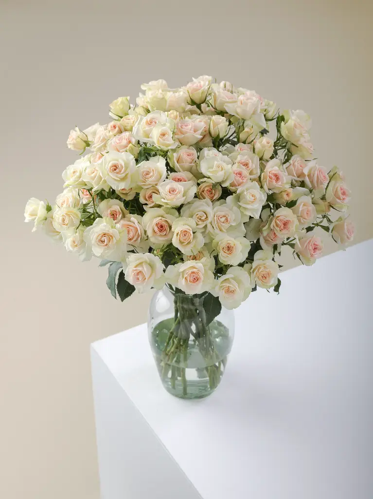   Roses Spray Garden 50cm Bellalinda Blush Sweet