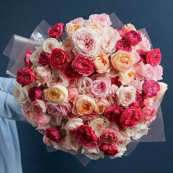     BELLALINDA ROSES - MIX AND MATCH (20 STEMS)