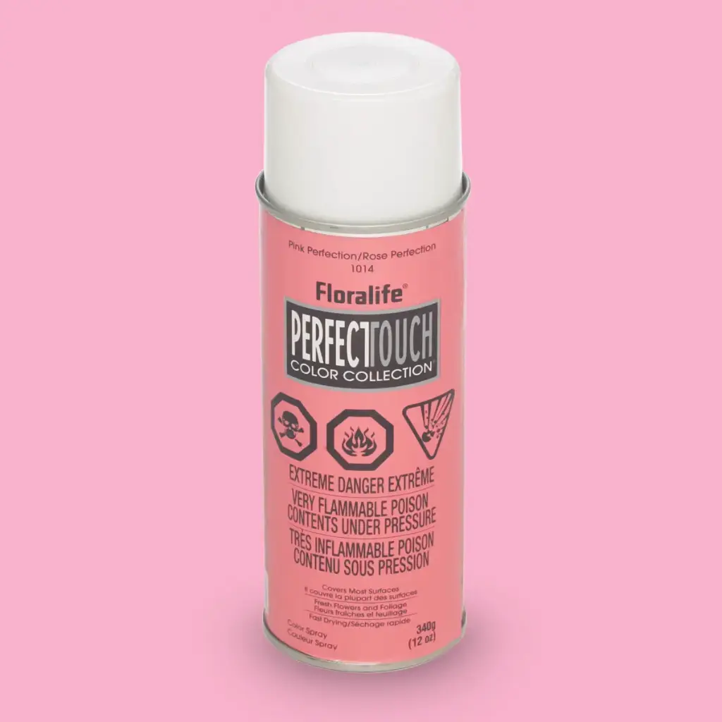 Spray Paint Perfect Pink