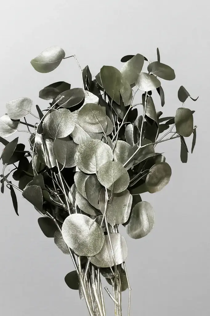 Greenery Eucalyptus Silver Dollar Tinted Silver