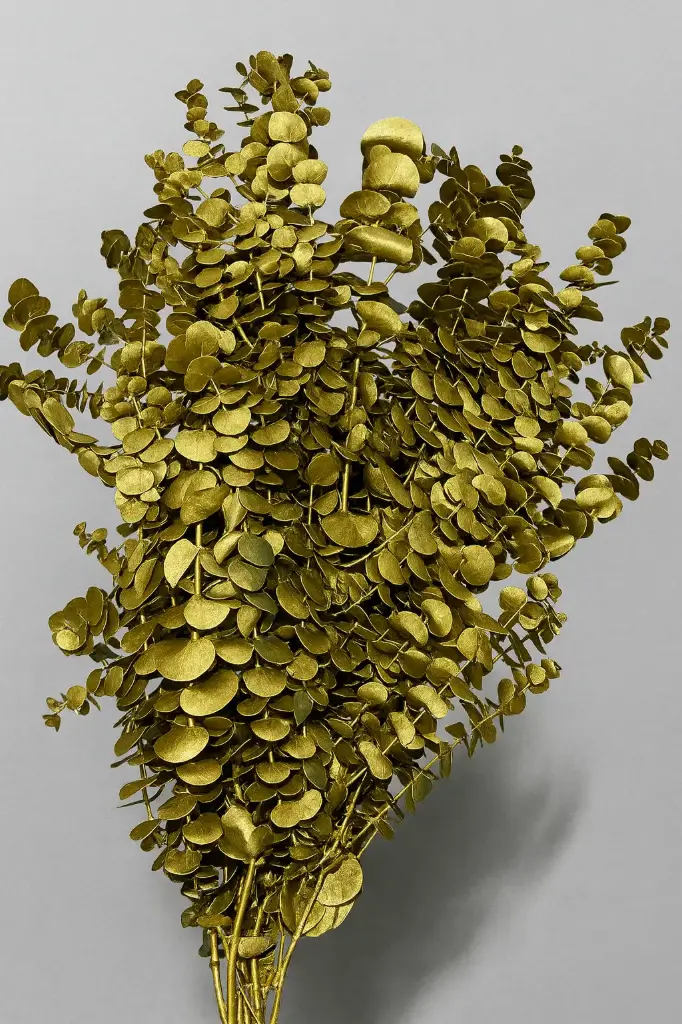 Greenery Eucalyptus Baby Blue Spray Tinted Gold