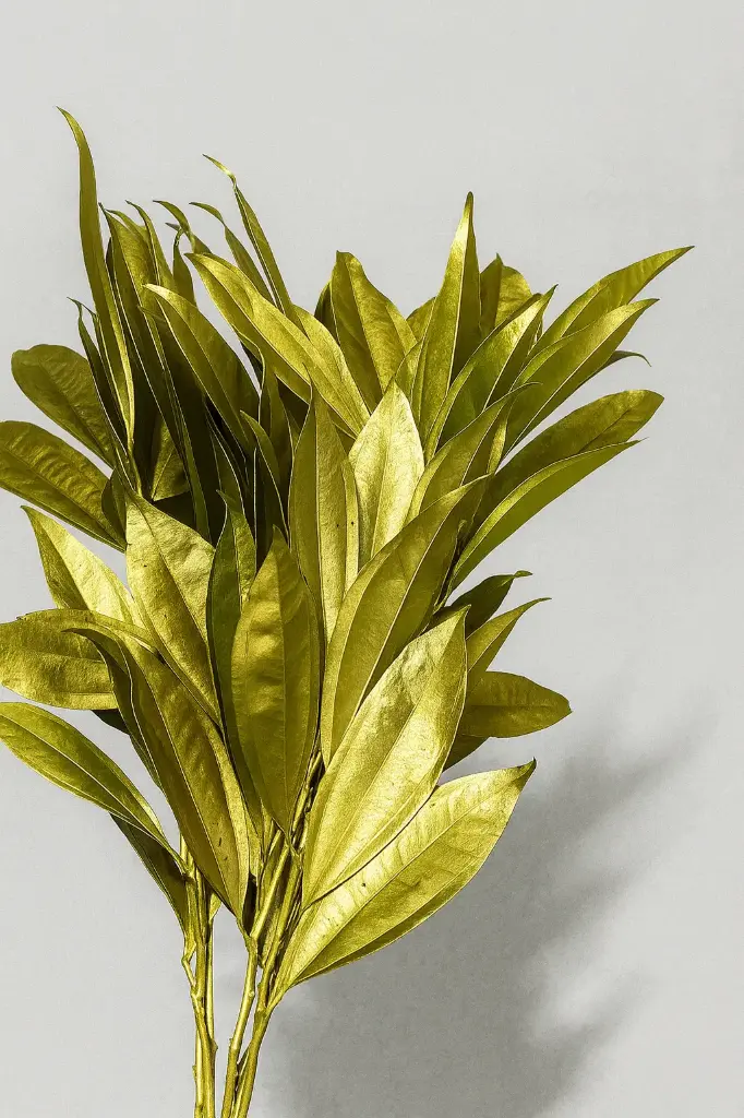 Greenery Cocculus Tinted Gold