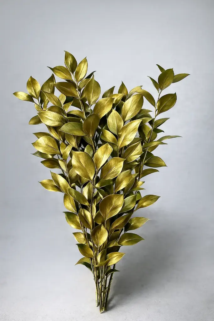 Greenery Israeli Ruscus Tinted Gold