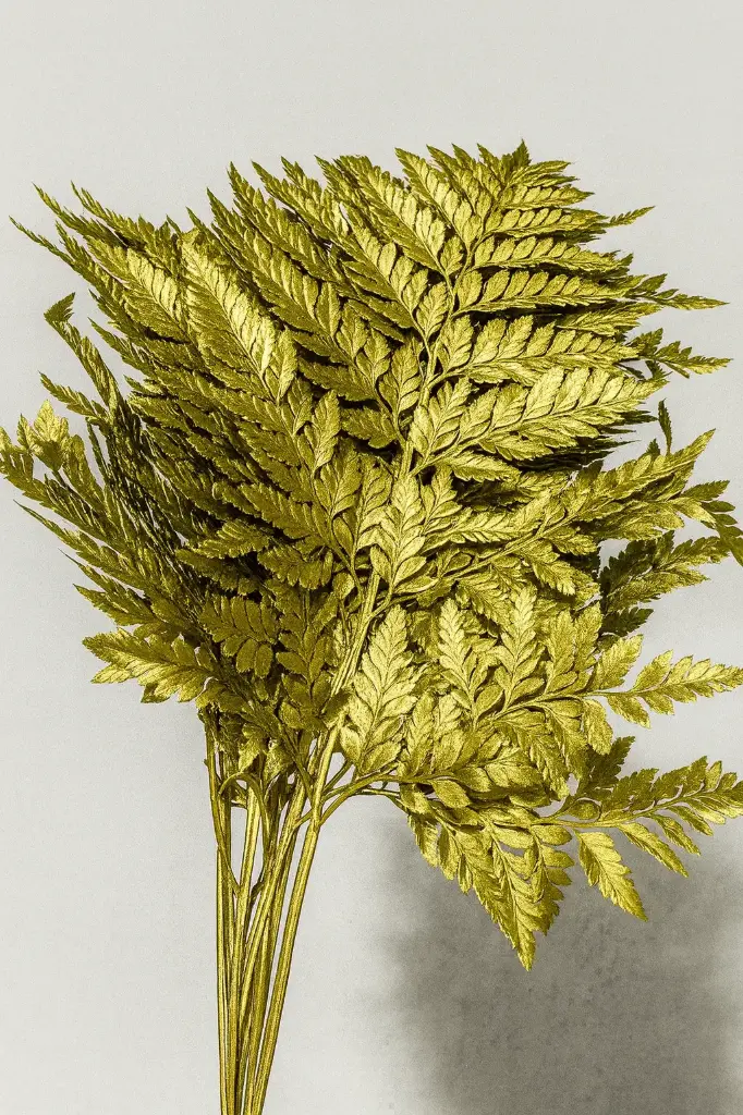 Greenery Leather Leaf Florida Tinted Gold