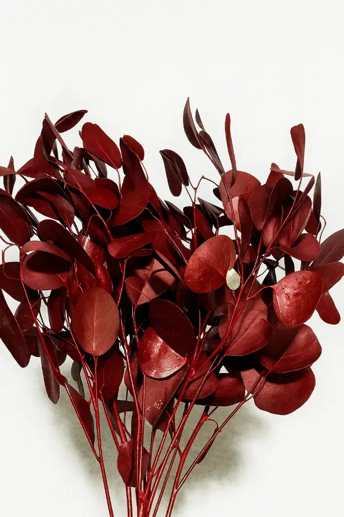 Greenery Eucalyptus Silver Dollar Tinted Burgundy