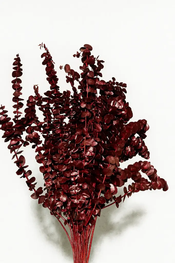 Greenery Eucalyptus Baby Blue Spray Tinted Burgundy