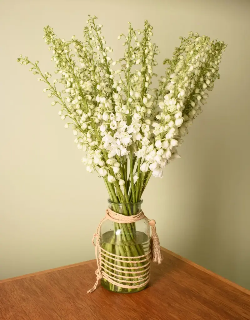 Delphinium 70cm White
