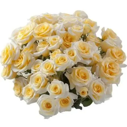  Spray Roses 50cm Bic White Yellow New Moon