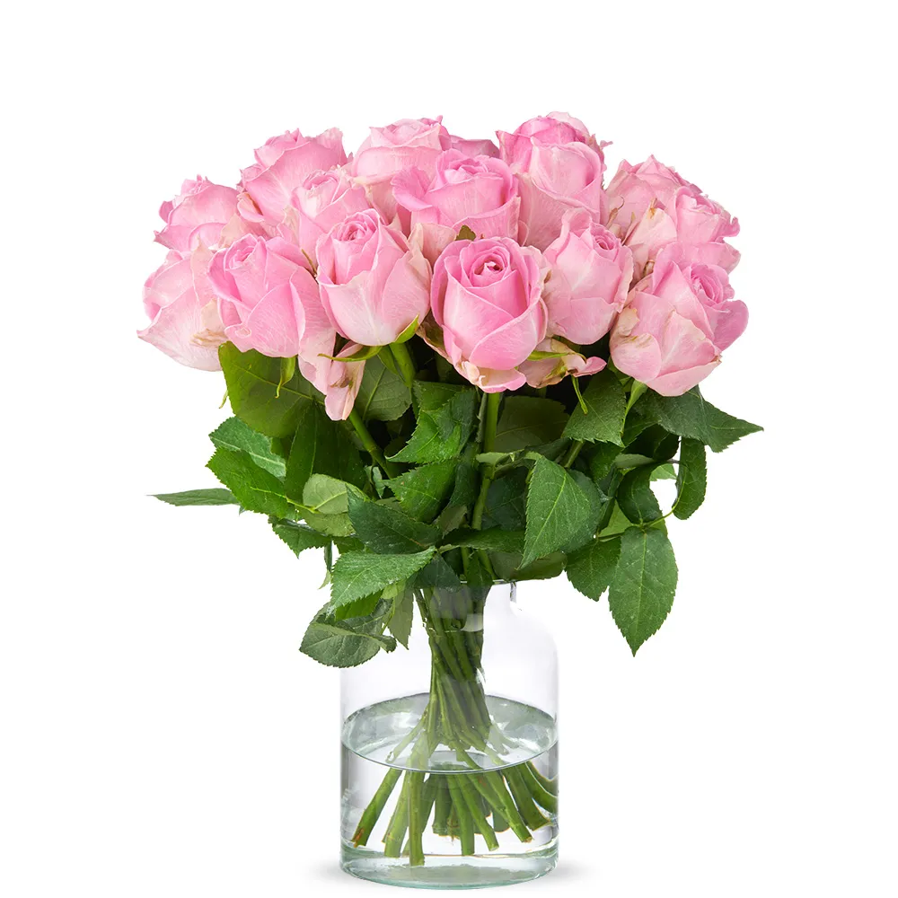  Roses 40cm Pink 