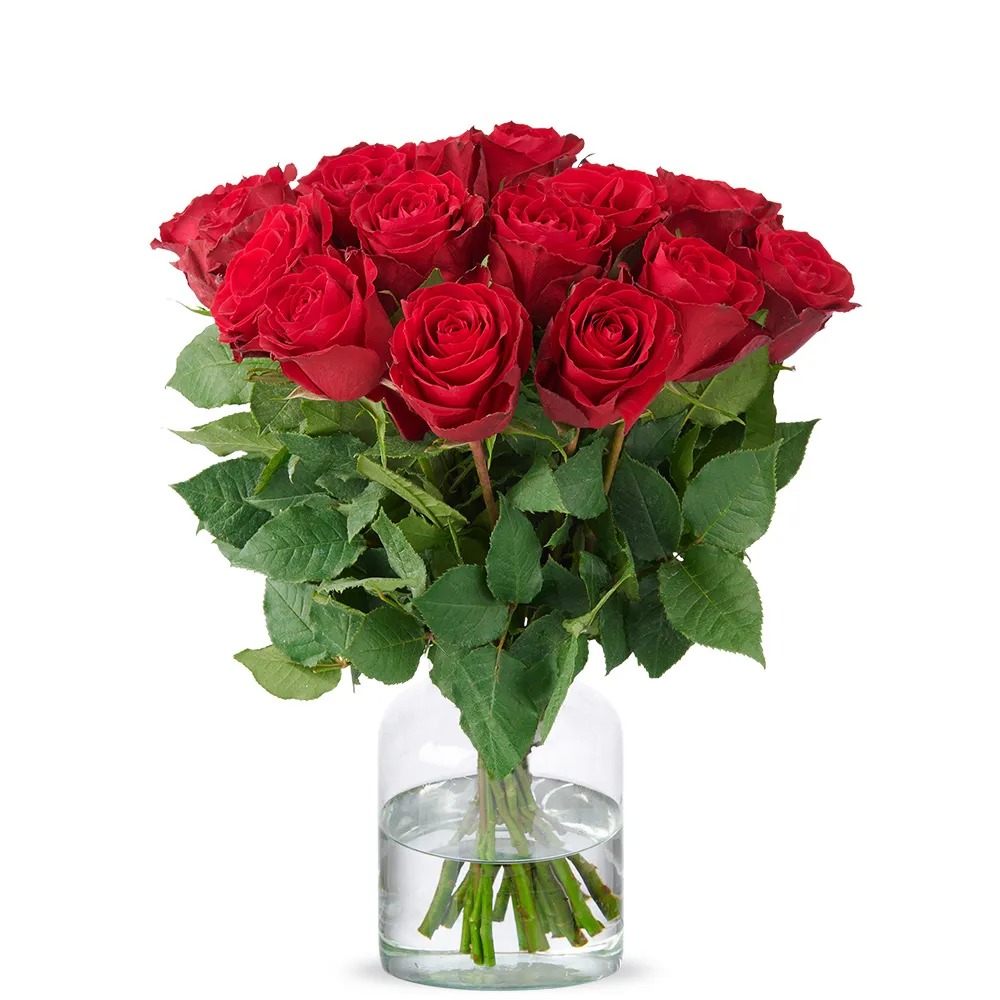  Roses 40cm Red Freedom