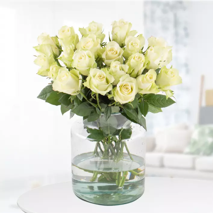  Roses 40cm White