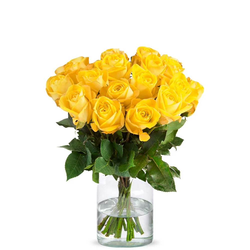  Roses 40cm Yellow