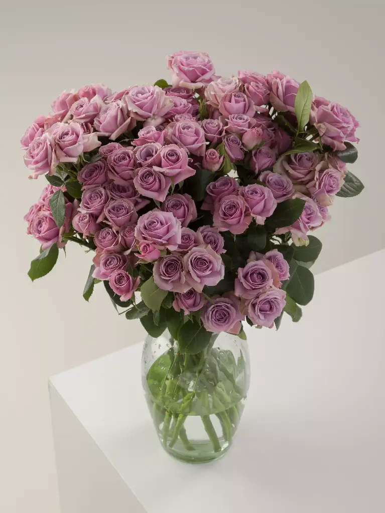  Spray Roses 50cm Lavender Iriska