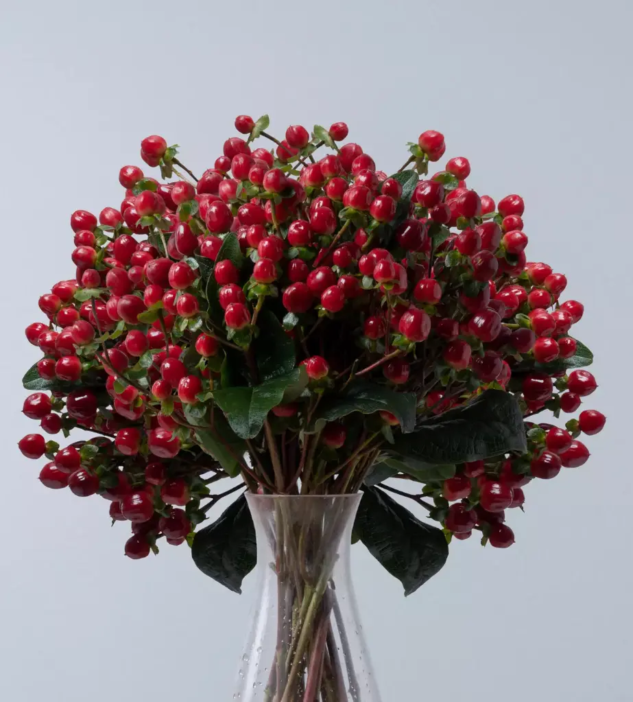 Hypericum Spray Red 70 CM