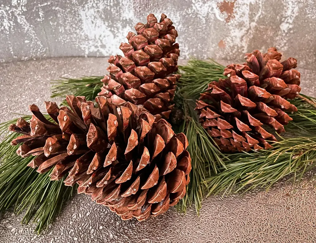 Greenery Pine Cones Sugar Jumbo