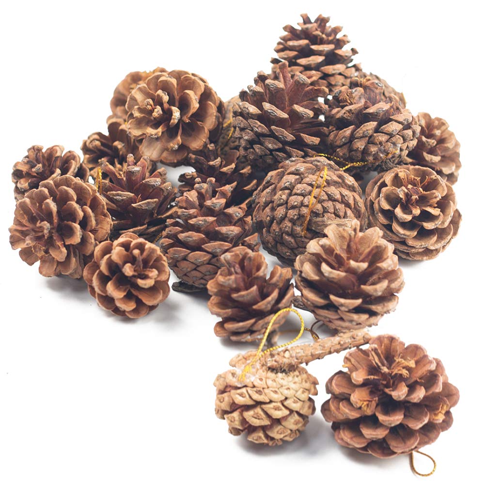 Greenery Pine Cones Lodge Pole