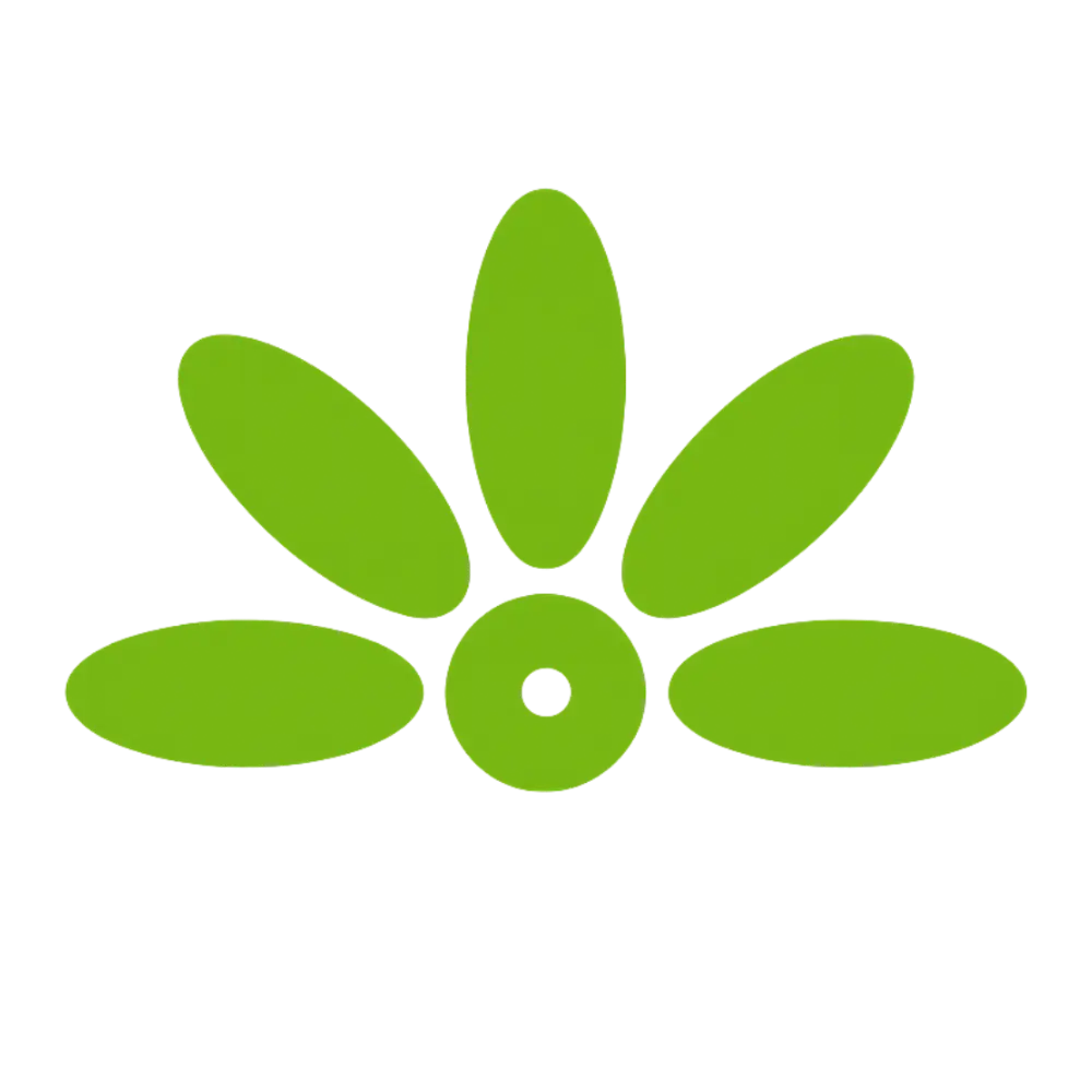 Savannah Flowers Corp